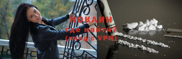 дживик Козельск