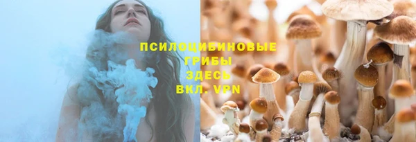 дживик Козельск
