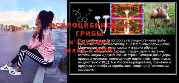 дживик Козельск