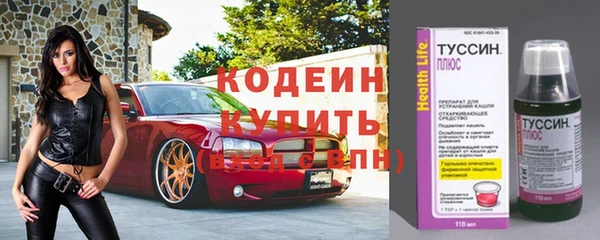 дживик Козельск