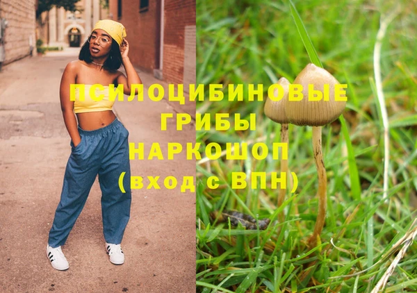 прущие грибы Киренск