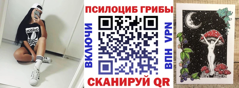 Псилоцибиновые грибы мухоморы  Купить где  Арск 